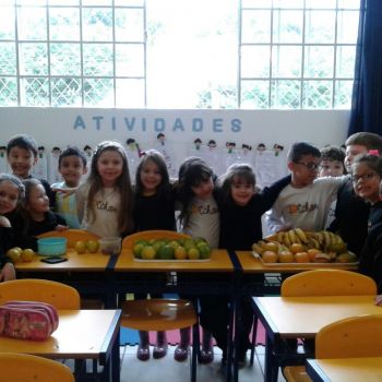 Alimentao saudvel